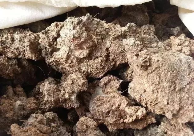 鸡粪羊粪牛粪哪种当肥料好,鸡粪羊粪猪粪牛粪哪个做营养土好