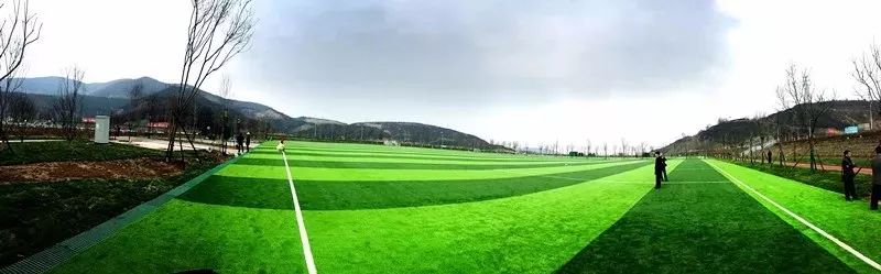 太原银杏林网红打卡地,太原网红打卡地景点