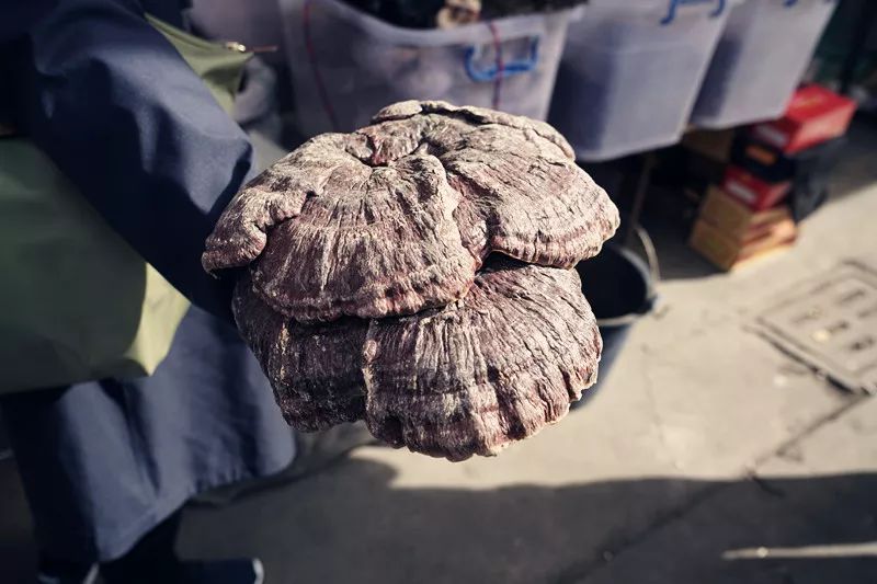 从丽江到茨中：菜场买恶魔果实、修道院酿酒士、高原油泼面……开启了无数的第一次|香格里拉环线（上）