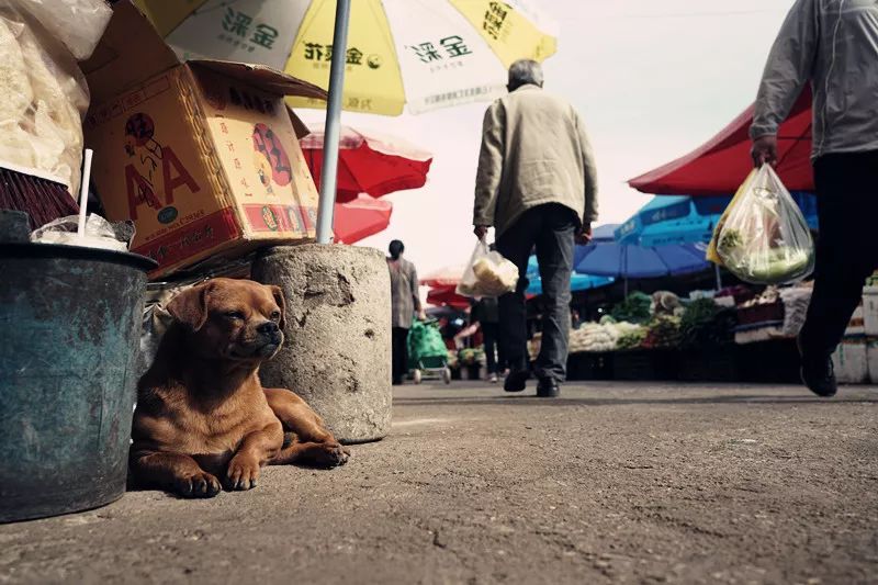 从丽江到茨中:菜场买恶魔果实、修道院酿酒士、高原油泼面……开启了无数的第一次|香格里拉环线(上)
