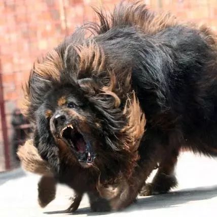 把我设置成不可见了是什么心态,为什么有人把朋友圈设成三天可见