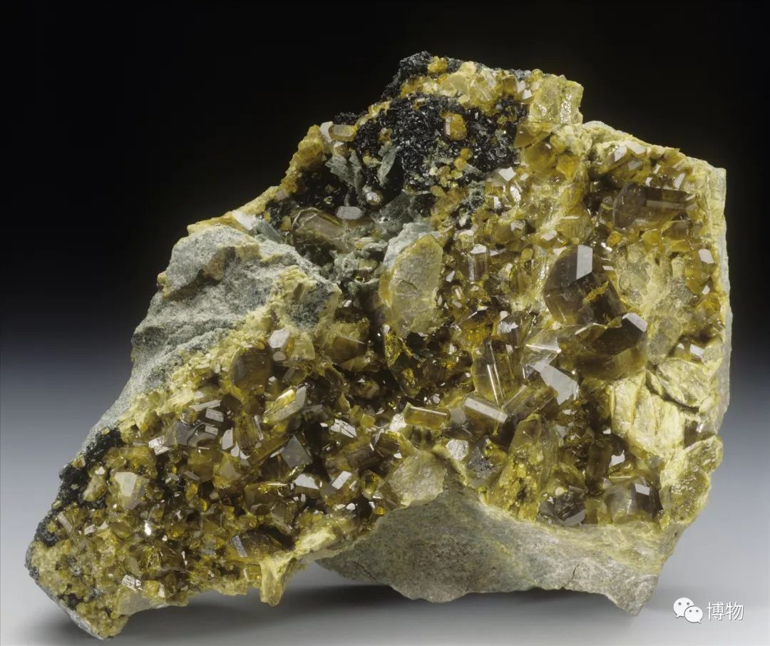 脑子进水了后悔不,脑子进水了掉井里