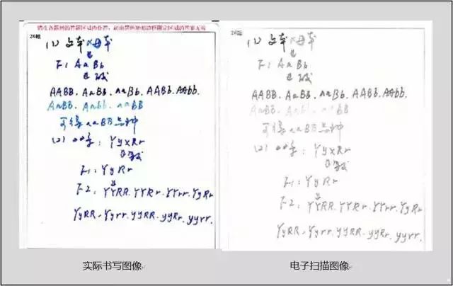 关注中高考提分,关注中高考湖南