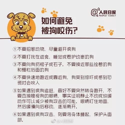 小区流浪狗咬伤20多人,苏州流浪狗被咬视频