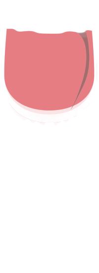 法国红酒昨天下单今天就到，会是假的吗？