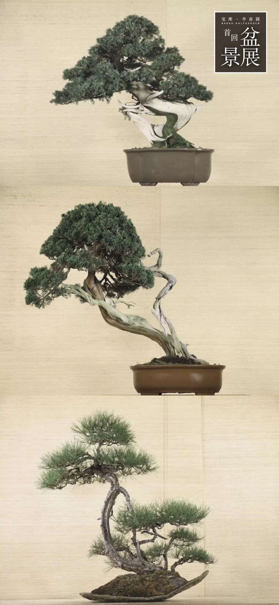 上海最高楼云端上的风景,在上海最高的楼俯瞰风景