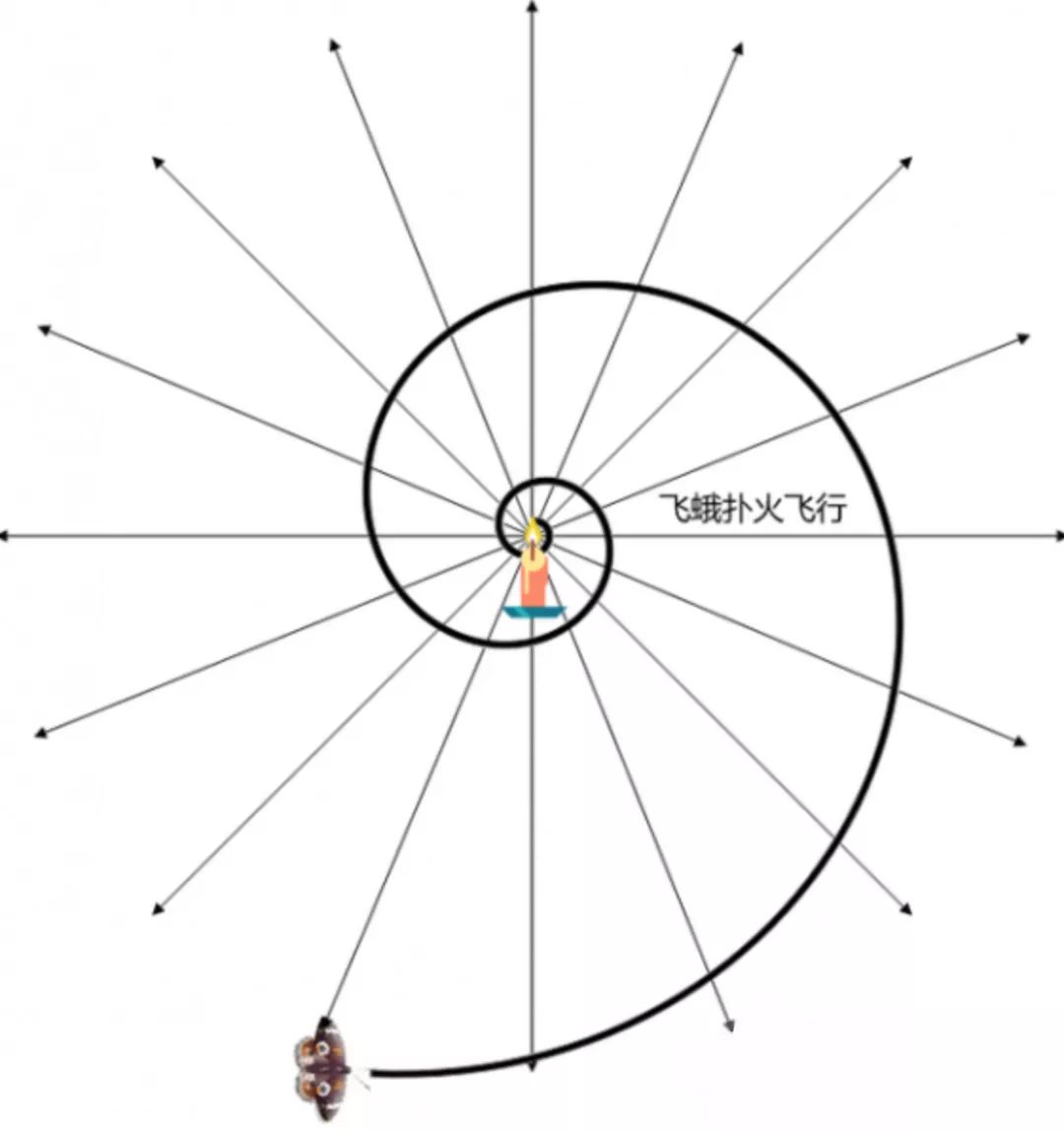 江浙沪隐藏的黑马县城,中国最宁静的小县城