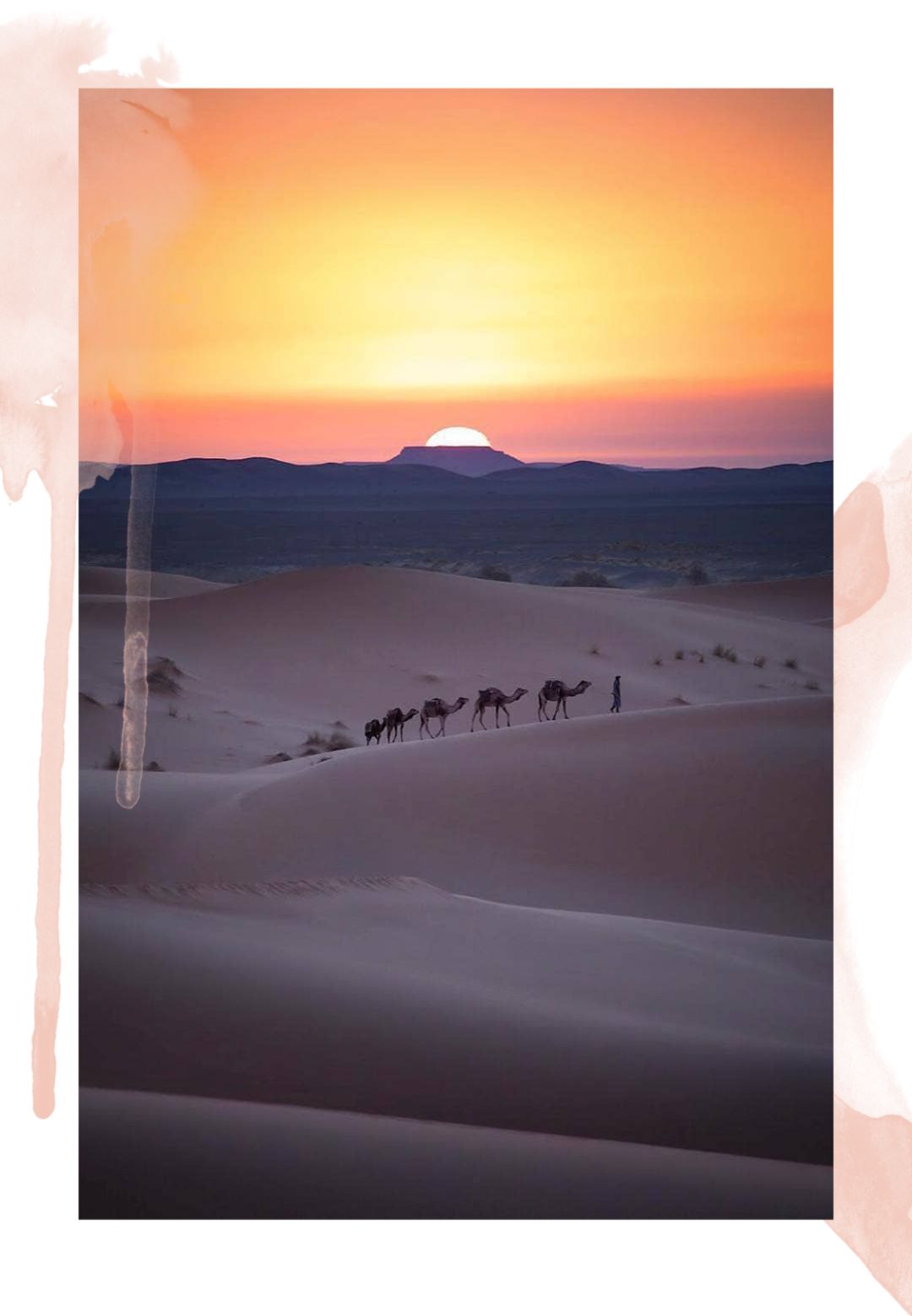 520去哪比较浪漫,520发愁送啥