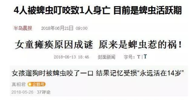 警惕这小虫,六安已有人因它致死!当下高发期!