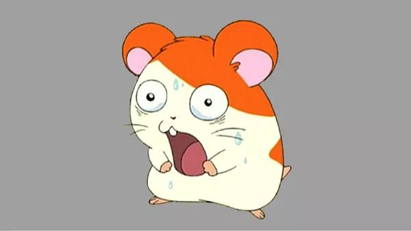 日本“手工鬼才”捏的小动物模型，比表情包还沙雕