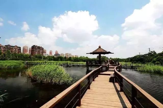 玩转大连森林公园,逛遍大连森林公园