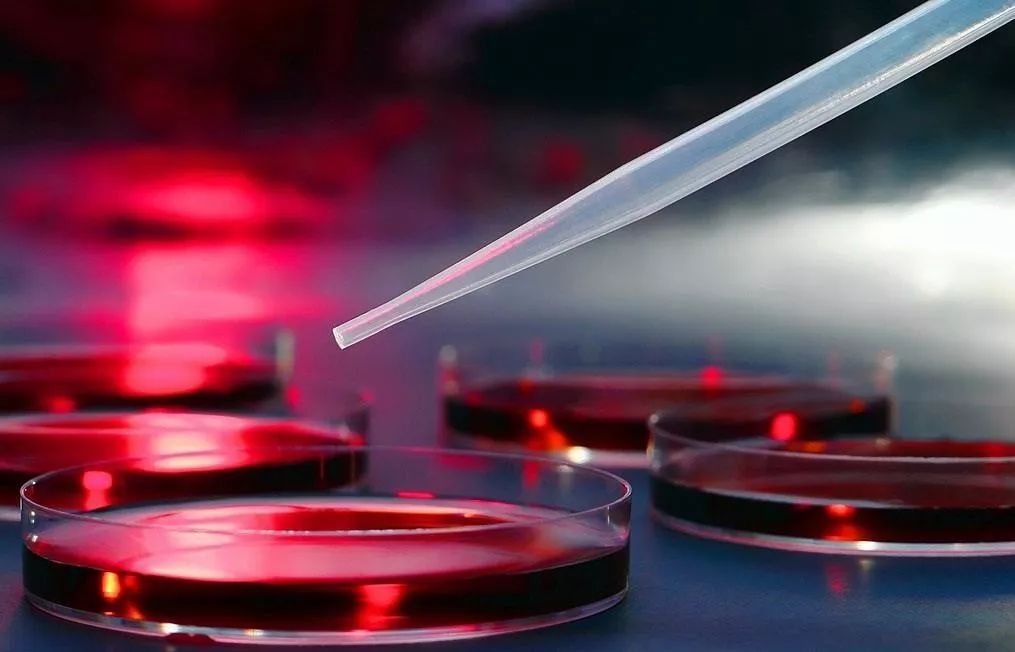 内调养颜原来真的很重要,内调有多重要