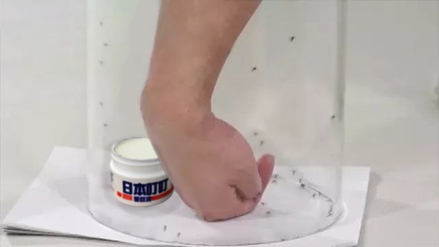 很好用的蚊子药膏 (最近很流行的蚊子膏)