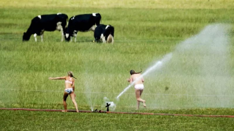 别顾着烧烤，请关注荷兰的气候变化，会出现南欧那样的气候吗？