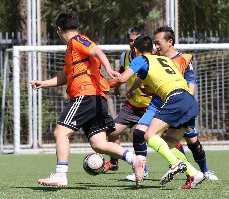 北京101中著名校友,北京101中校友