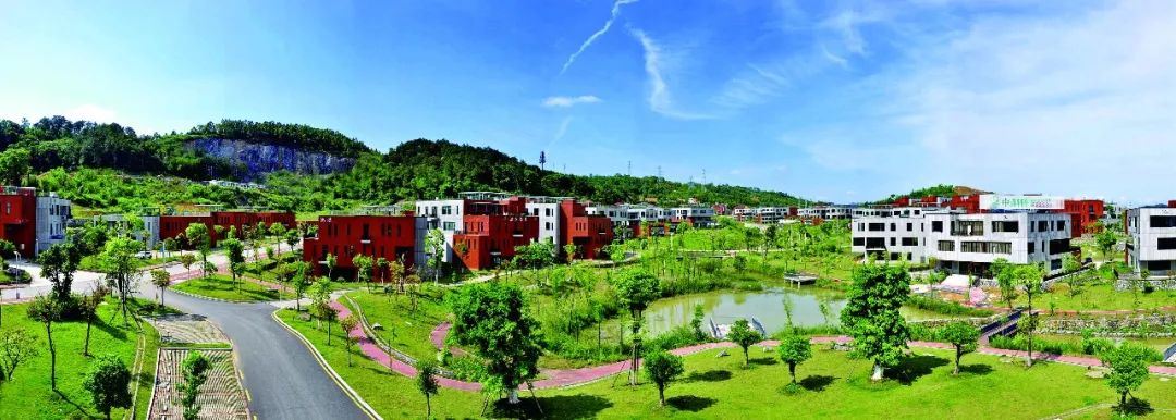 李红军韶关视频,韶关翁源县委书记李红军