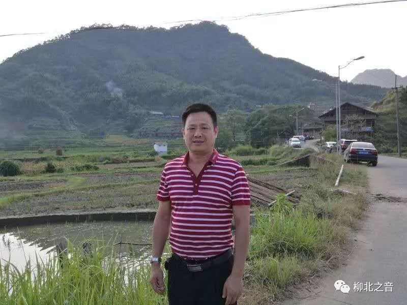 【名师亮校】以名校烘托名师,以名师点亮名校！了解不一样的柳州市滨江中学~