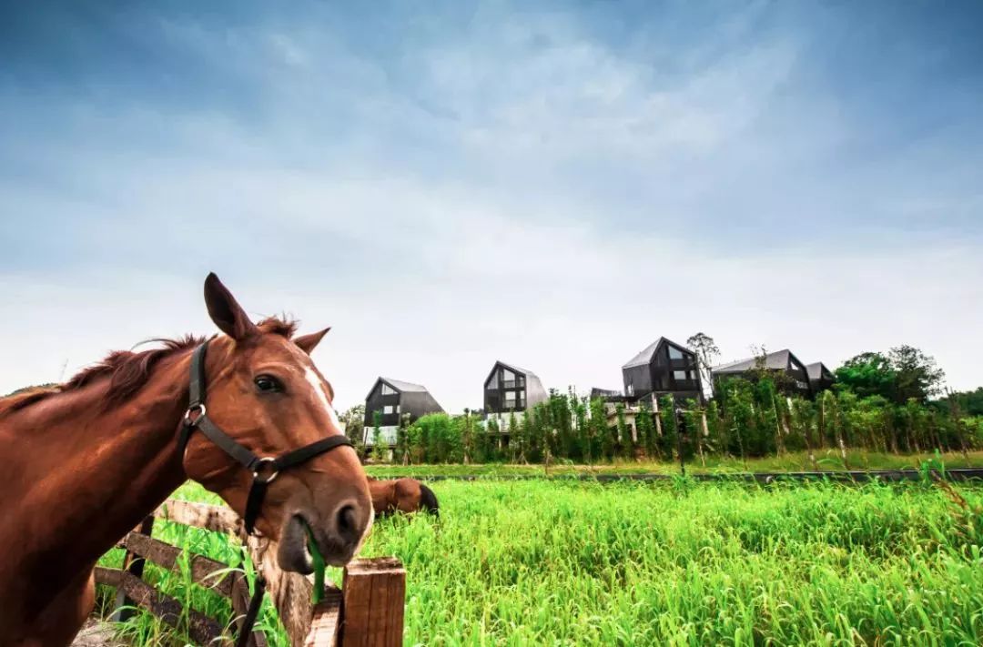 浮生御度假村温泉票,浮生御套票