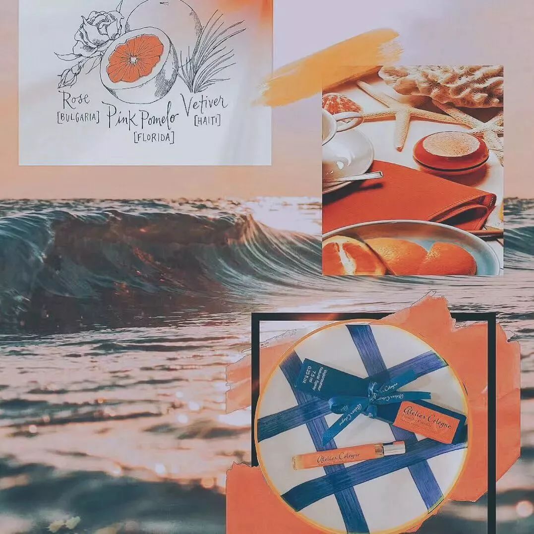 绮変笣鏉ヤ俊,澶忔棩濂界墿鍚堥泦鍒嗕韩