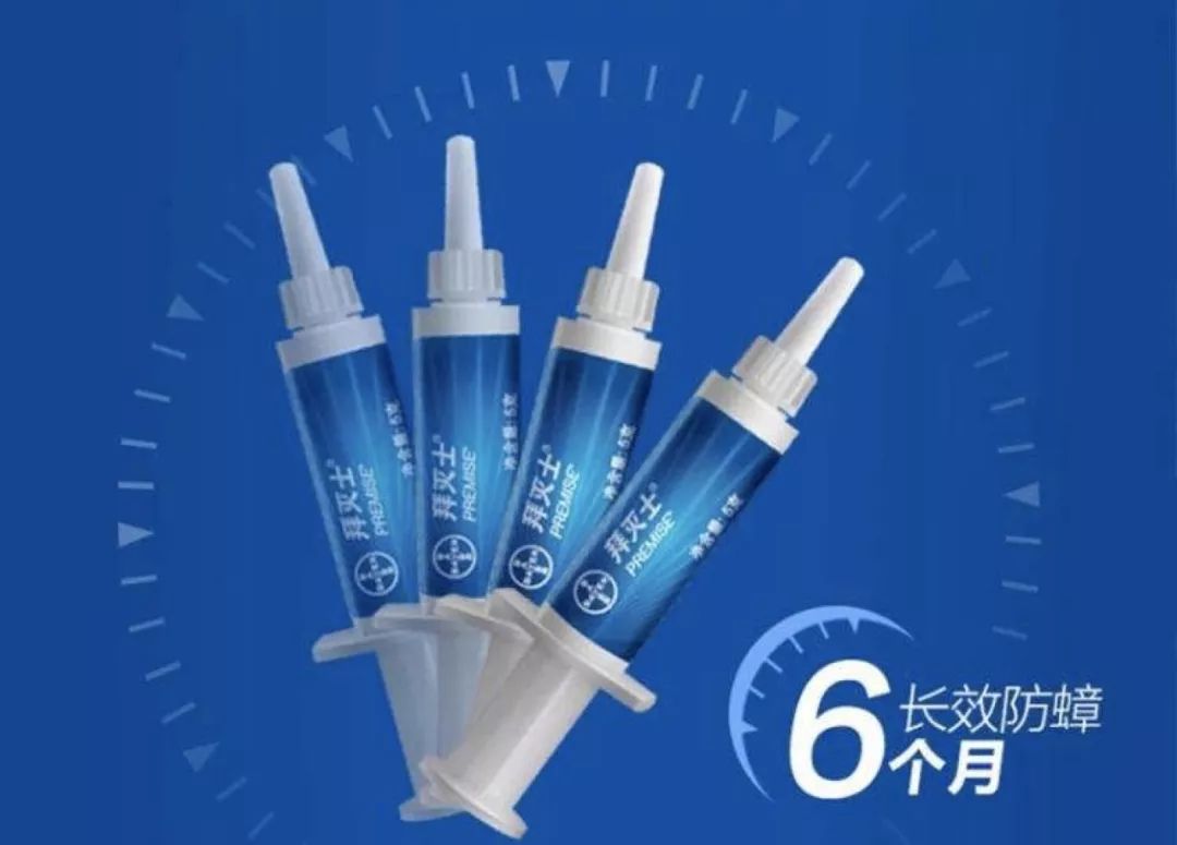 家里有蟑螂怎么样才能把它给消灭,家里有蟑螂用什么东西来消灭它