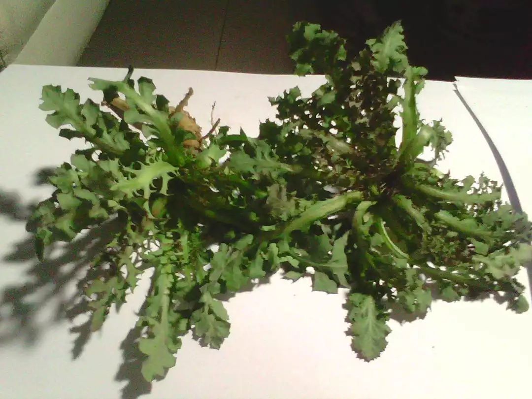 小满要吃苦视频,小满吃苦的原因