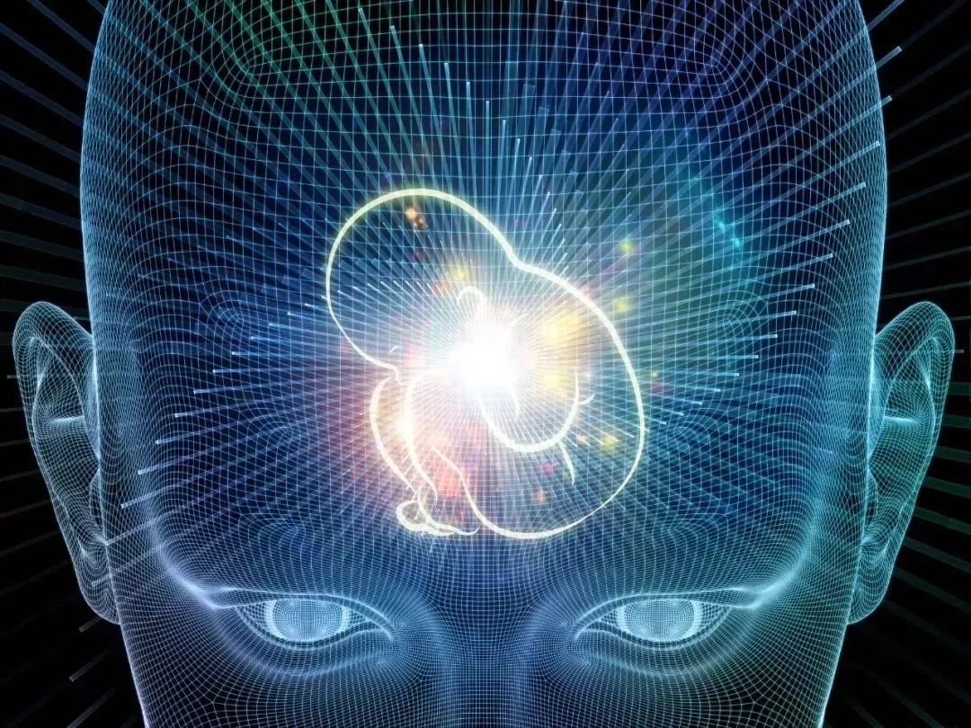 隔壁澳洲上演了被人潮包围的一幕，而这一切和新西兰也息息相关