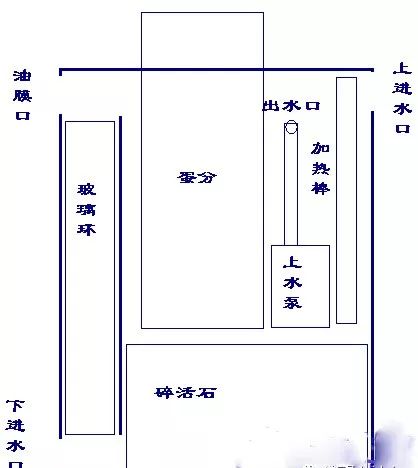 海缸害怕阳光照射吗,海缸如何压制褐藻