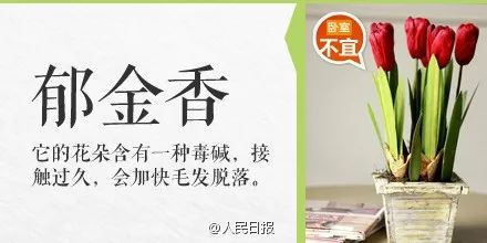 女子在家中毒成功案例,碰一下就中毒是怎么回事