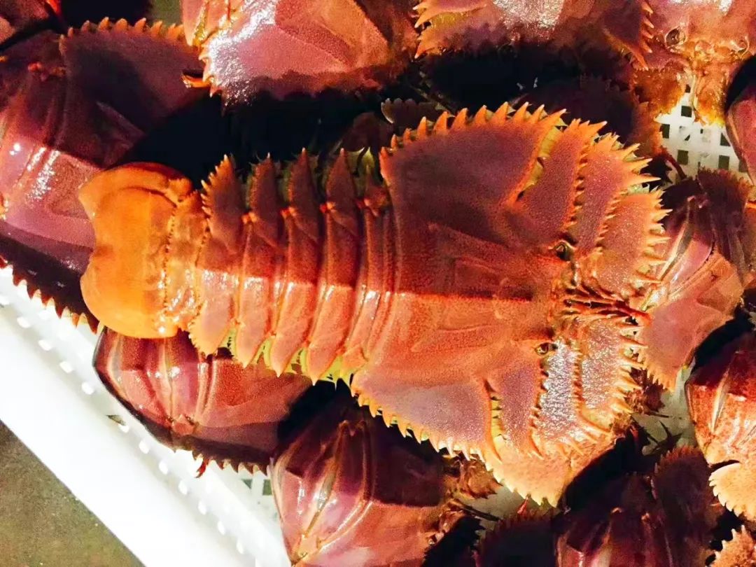 渔家女揭露海鲜市场黑幕,渔家女直播回放