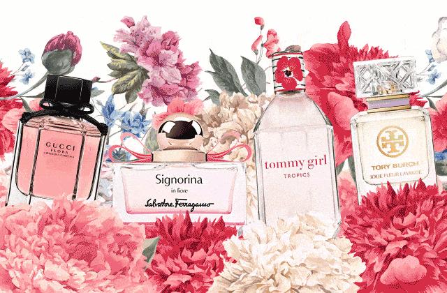 寻香|还原派VS颠覆派？诶呦~想不到这花还有两副面孔！（上）