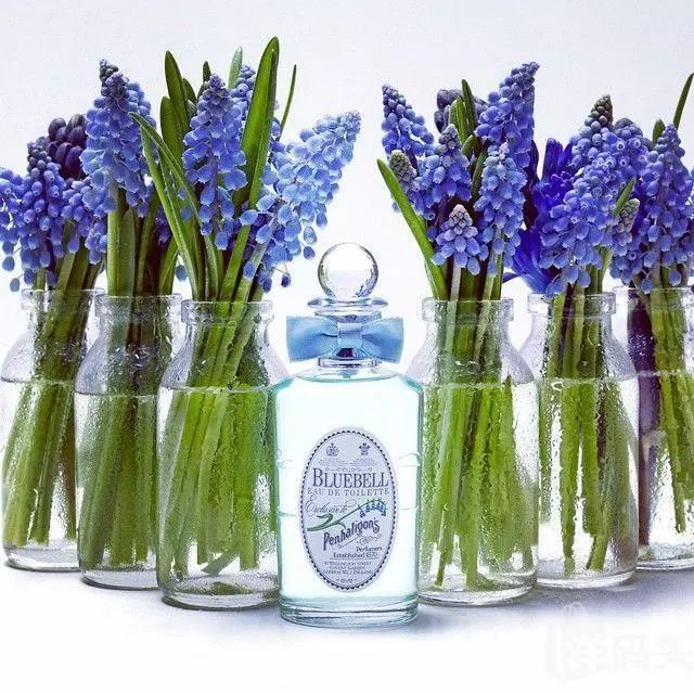 寻香|还原派VS颠覆派？诶呦~想不到这花还有两副面孔！（上）