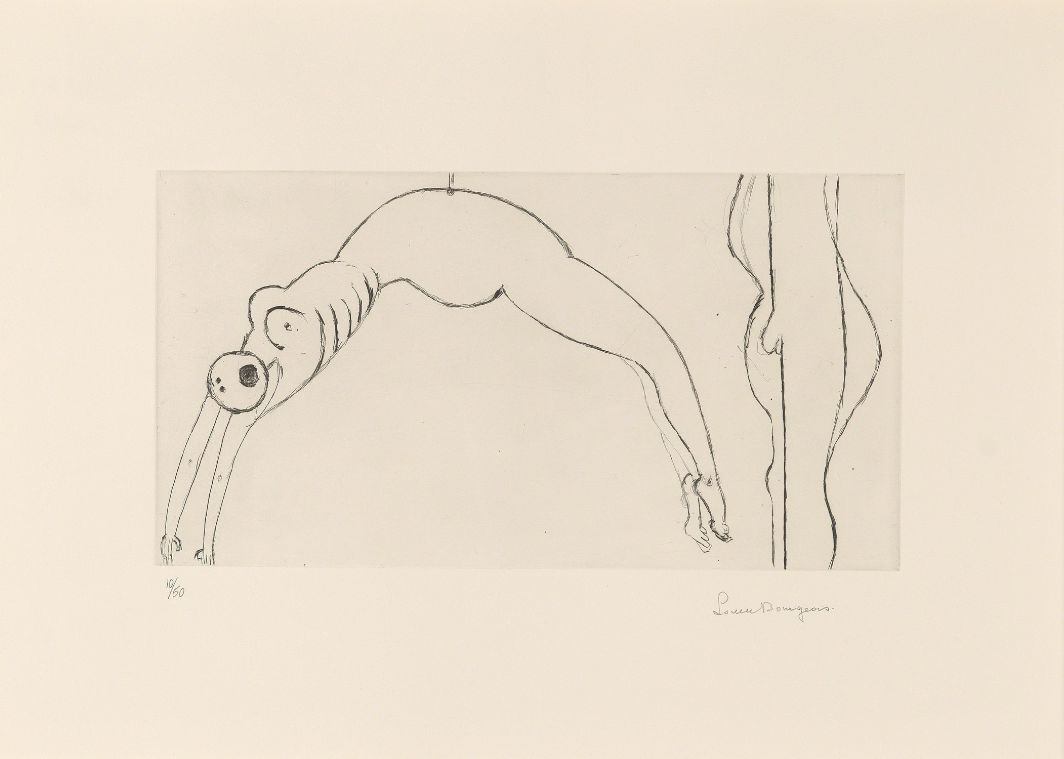 路易斯·布尔乔亚,路易斯布尔乔亚作品元素