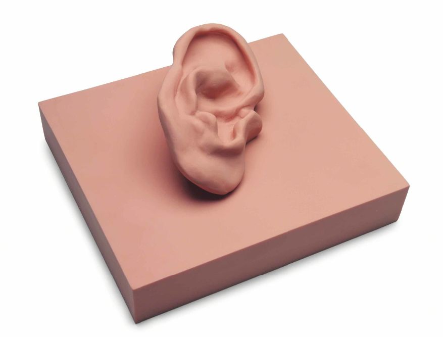 路易斯布尔乔亚细胞,路易斯布尔乔亚作品解读