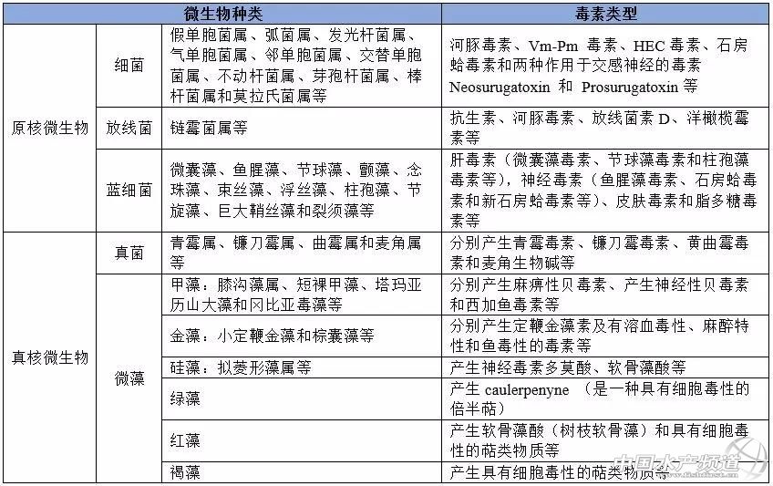 养殖水中有害病菌来源,养殖水体里有虫子怎么办用什么药