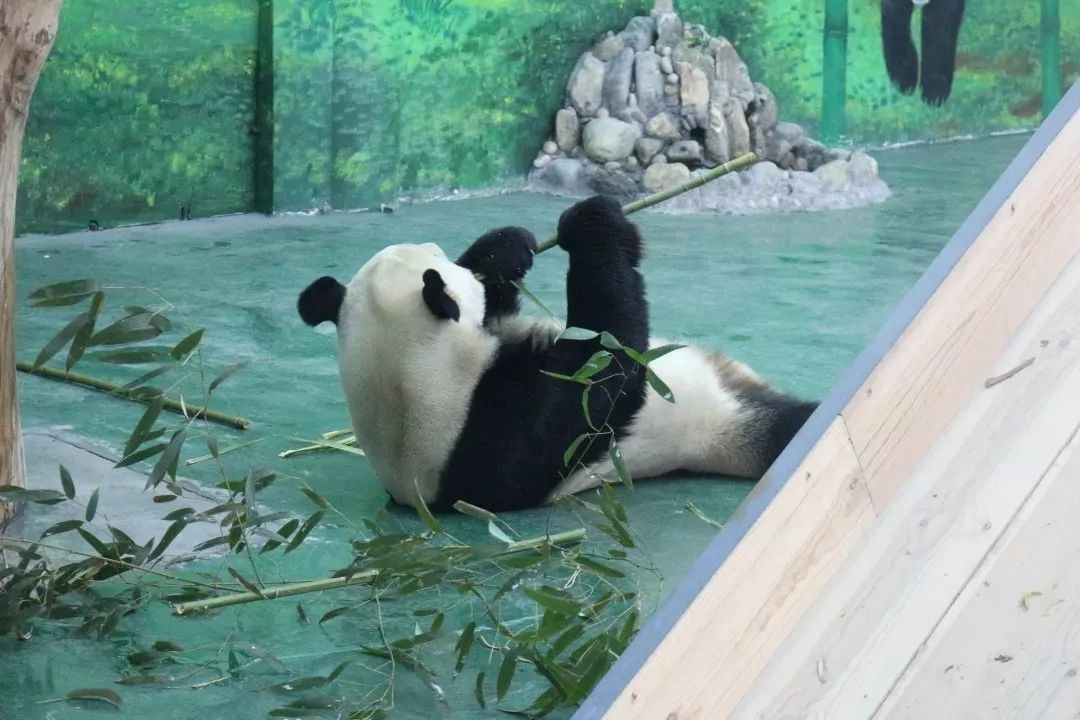 周末去哪儿快来这里尽情撒欢吧,周末周边游去一趟自己想去的地方