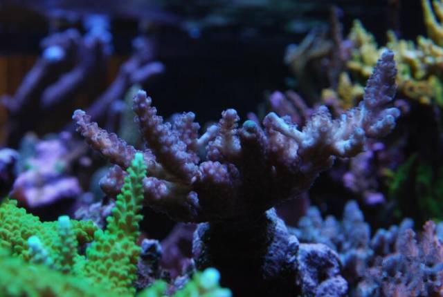 鉴定完毕就是好人吗,鉴定完毕就是亲生的没错了