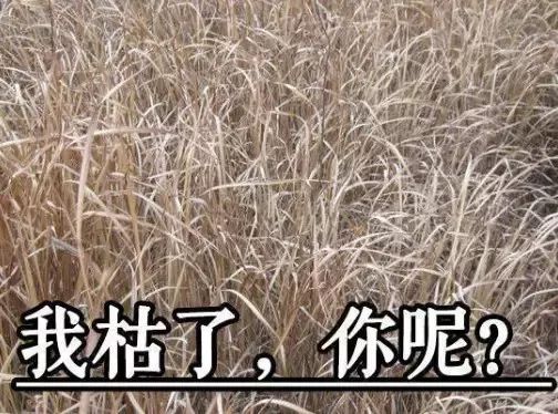 消防知识露天燃烧的危害,消防饮水机灭火