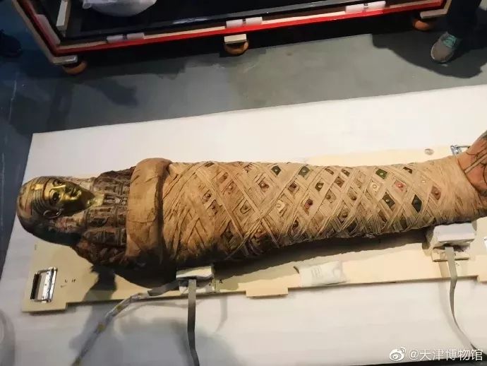 「滨海鲜闻」最恐怖最惊艳最刺激的开箱……一般人真看不了！