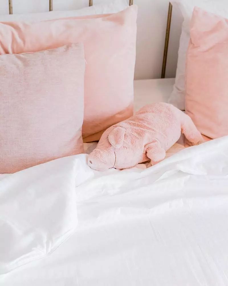 便宜的蚕丝被有什么套路,蚕丝被每日抢购