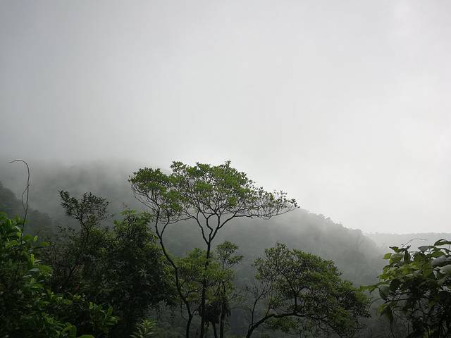 肇庆七星岩鼎湖山自助游,肇庆鼎湖山和七星岩相距多远