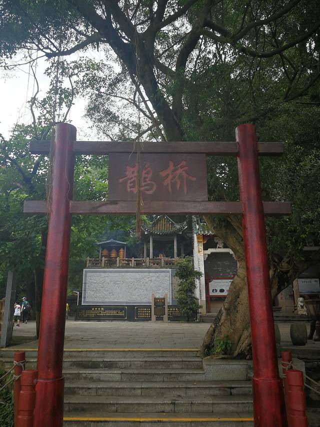 肇庆七星岩鼎湖山自助游,肇庆鼎湖山和七星岩相距多远