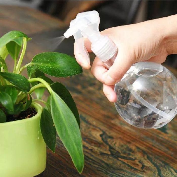 天太热怎么给花降温,天冷植物怎么淋水