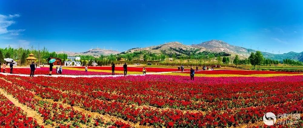 南阳聚力乡村旅游攻坚,南阳市加快文化旅游业发展