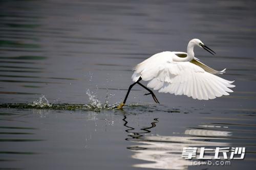 长沙带小孩旅游3-4天攻略最佳线路,长沙六号线小孩游玩攻略