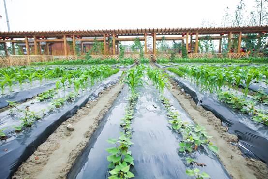 20个足球场多大,20个足球场有多大