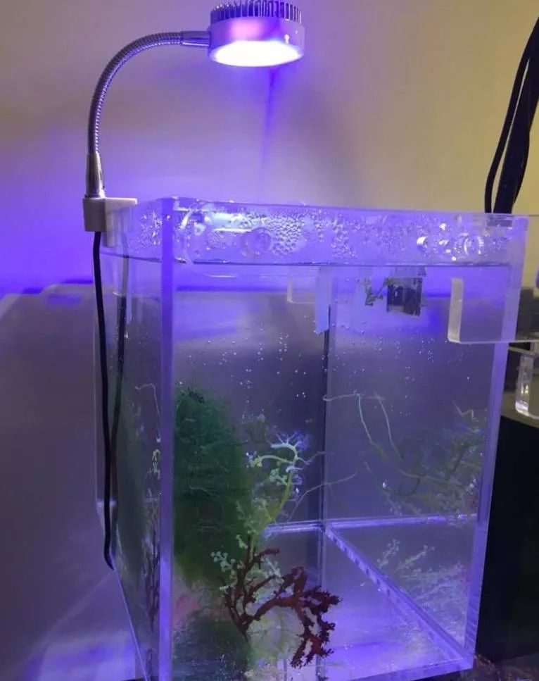 whatsapp时钟不正确怎么调,whatsapp显示版本过低