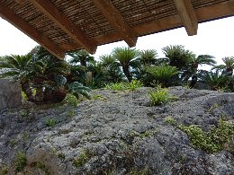 冲绳岛上的人间仙境,冲绳城市