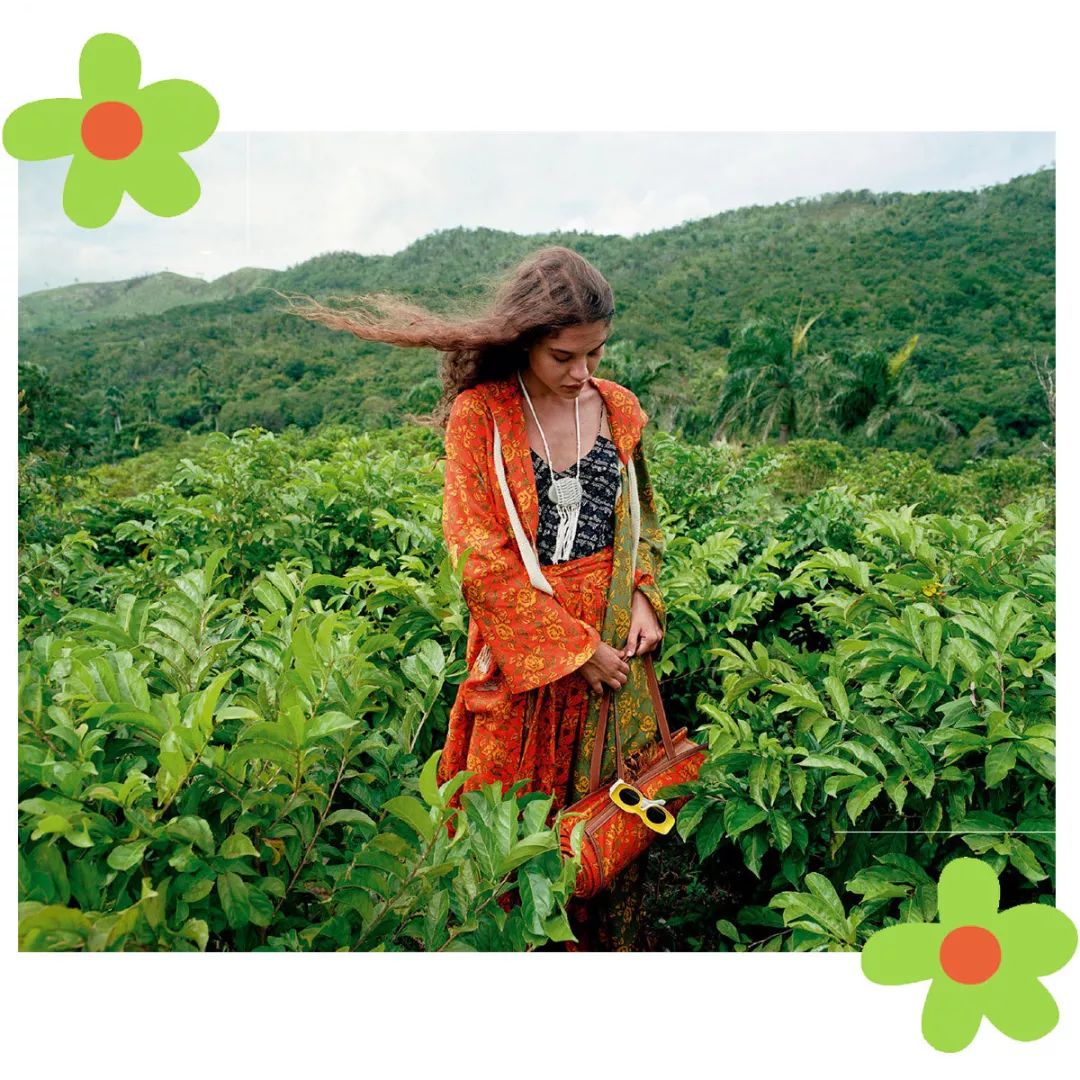 从狗仔到时装精从富婆到大明星|都爱这座神岛