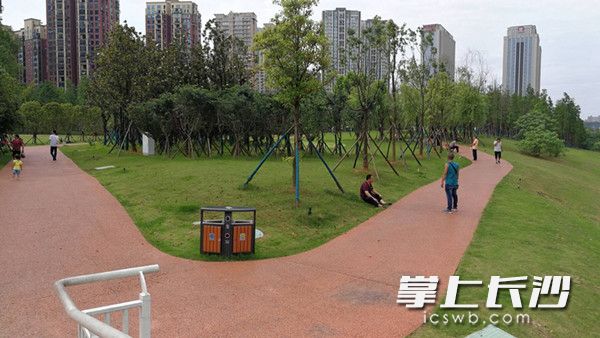 长沙生态环境局公示,长沙生态恢复的怎么样了