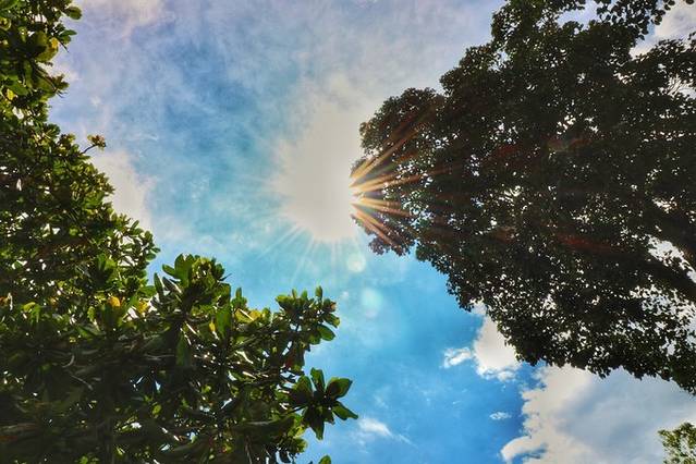 泰国普吉岛芭东海滩泰式spa,普吉岛泰式精油spa宣传片